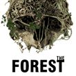 The Forest