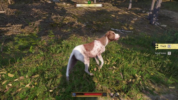 5 - Kingdom Come Deliverance 2: How to find Marika? (Miri Fajta) - Tasks and puzzles - Kingdom Come Deliverance 2 Guide