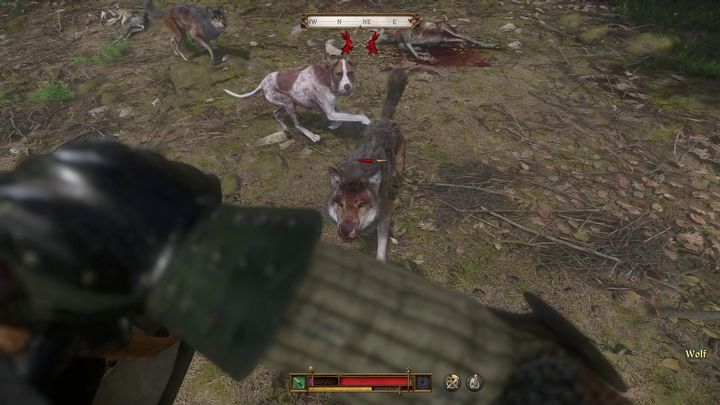 2 - Kingdom Come Deliverance 2: How to kill wolves? - Combat - Kingdom Come Deliverance 2 Guide