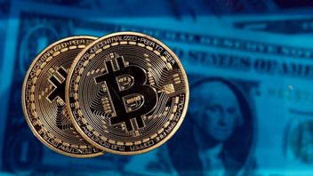 Bill Gates: Don't Buy Bitcoin, If You Don't Have Musk's Money