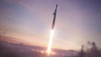 Starship SN10 Lands Succesfully and Explodes