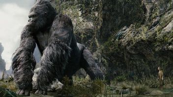 Kong: Skull Island Director Will Make a Gundam Movie
