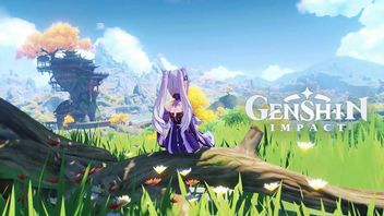 Man Arrested for Attempting to Attack Creators of Genshin Impact