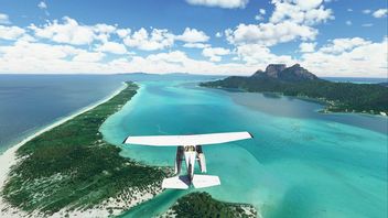 PC Players Outraged by Bugs in Latest Microsoft Flight Simulator Update