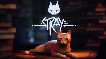 Stray in Demand; Concquers Steam Even Before Release