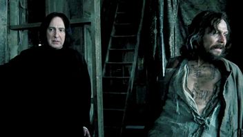„If I Had Known What’s Coming”. Harry Potter Actor Regrets Not Taking a Cue from Alan Rickman