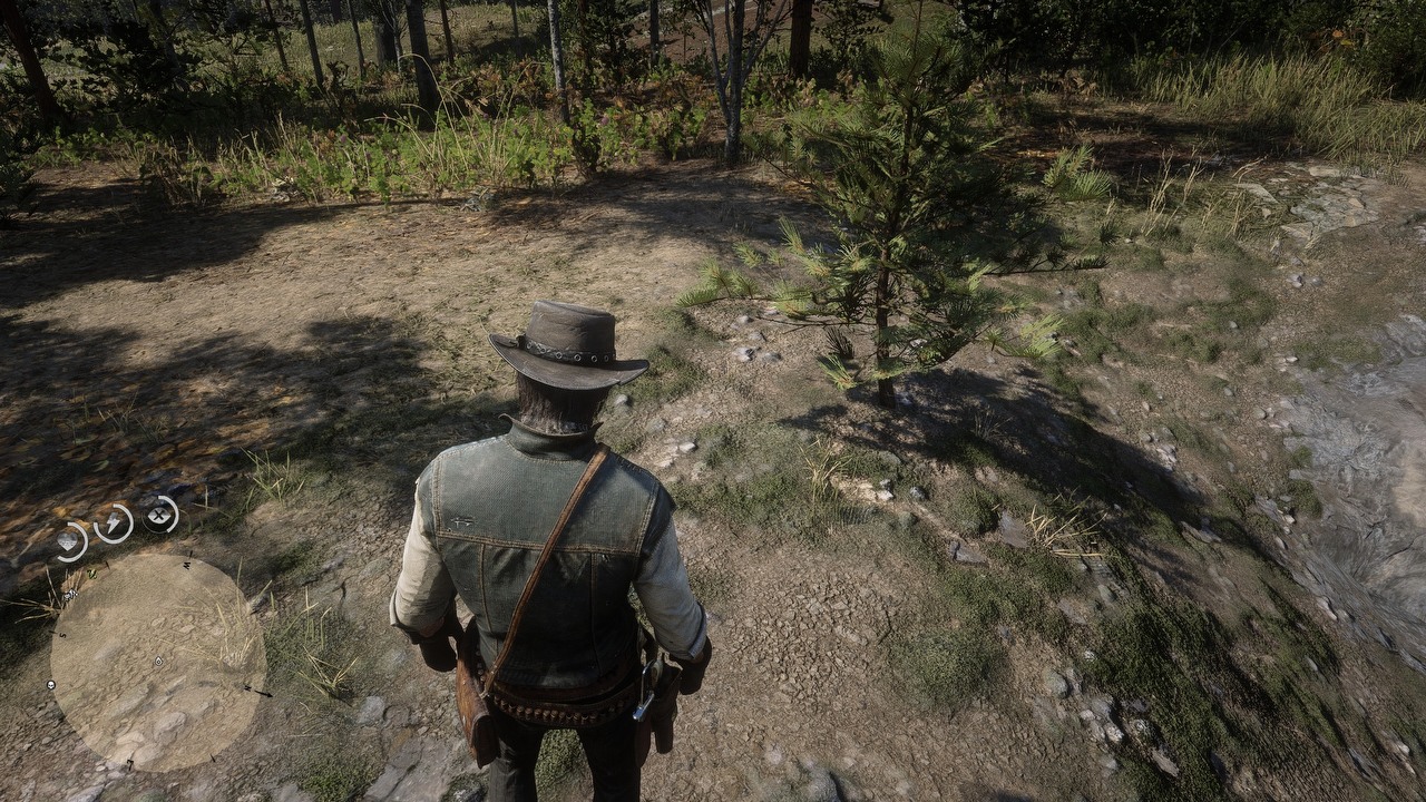 RDR2 Beautified, You Just Need to Download 7 GB of Data.